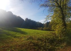 Foto_26.10.19_19_28_18_2 Foto_26.10.19_19_28_18_2