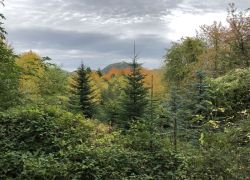 Foto_21.10.20_12_58_55