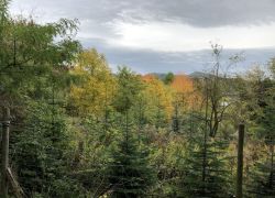 Foto_21.10.20_12_59_39