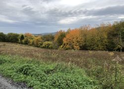 Foto_21.10.20_13_01_00
