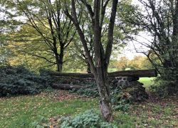 Foto_21.10.20_13_22_35