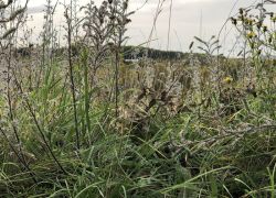 Foto_21.10.20_13_25_34