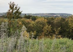 Foto_21.10.20_13_29_39