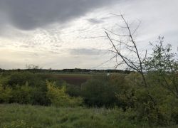 Foto_21.10.20_13_31_21