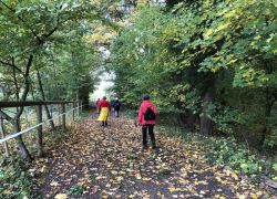 Foto_21.10.20_14_31_27