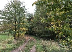 Foto_21.10.20_14_33_39