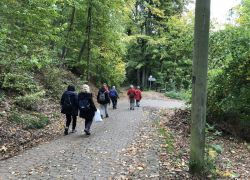 Foto_21.10.20_14_48_10