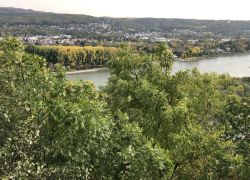 Foto_21.10.20_14_52_09