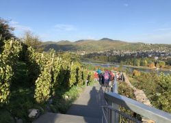 Foto_21.10.20_16_13_12