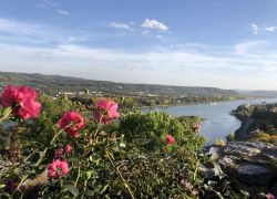 Foto_21.10.20_16_13_54