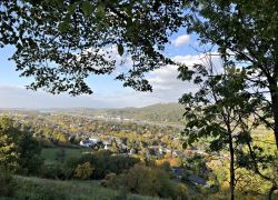 Foto_21.10.20_16_42_00