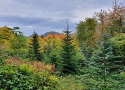 Foto_21.10.20_19_30_15_2