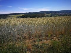 04_IMG_20220622_111751 04_IMG_20220622_111751