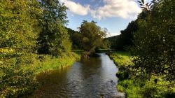 Marienstatt4 Marienstatt4