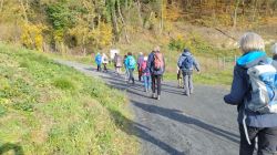 IMG_20231122_131607063