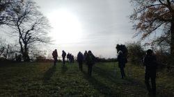 IMG_20231122_132920106