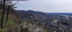 Frühling_im_Ennert_003