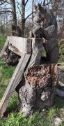 Frühling_im_Ennert_007
