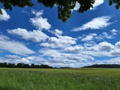 Bonn-Bad_Godesberg_06