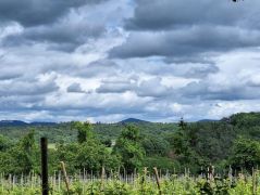Bonn-Bad_Godesberg_08