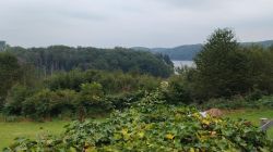 Mönchsweg_06