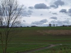 2024-12-21_Lauterbachtal_und_Kasseler_Höhe_08