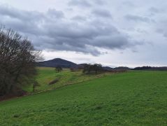 2024-12-21_Lauterbachtal_und_Kasseler_Höhe_11