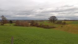 2024-12-21_Lauterbachtal_und_Kasseler_Höhe_16