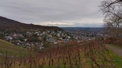 2024-12-21_Lauterbachtal_und_Kasseler_Höhe_17