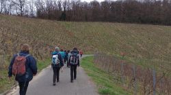 2024-12-21_Lauterbachtal_und_Kasseler_Höhe_20