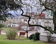 2024-12-21_Lauterbachtal_und_Kasseler_Höhe_24