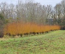 2024-12-21_Lauterbachtal_und_Kasseler_Höhe_25