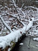 2025-01-11_Naturerlebnis_Berggeistweiher_01