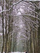 2025-01-11_Naturerlebnis_Berggeistweiher_03