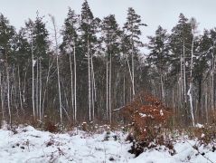 2025-01-11_Naturerlebnis_Berggeistweiher_04