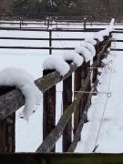 2025-01-11_Naturerlebnis_Berggeistweiher_06