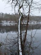2025-01-11_Naturerlebnis_Berggeistweiher_10