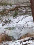 2025-01-11_Naturerlebnis_Berggeistweiher_11