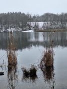 2025-01-11_Naturerlebnis_Berggeistweiher_13