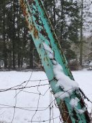 2025-01-11_Naturerlebnis_Berggeistweiher_15