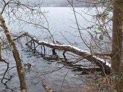 2025-01-11_Naturerlebnis_Berggeistweiher_17