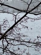 2025-01-11_Naturerlebnis_Berggeistweiher_21