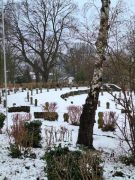 2025-01-11_Naturerlebnis_Berggeistweiher_22