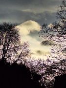 2025-01-25_Michaelsberg_01