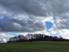 2025 01 29 Drachenfelser Ländchen 12