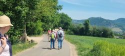 02_20250514_Wanderung_durchs_Drachenfelser_Ländchen