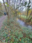 05_2025-11-01_Nette-Schieferpfad