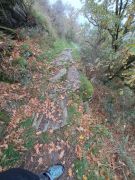 06_2025-11-01_Nette-Schieferpfad