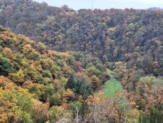 09_2025-11-01_Nette-Schieferpfad