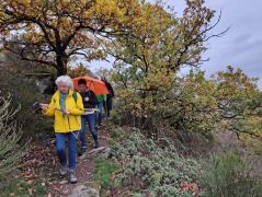 13_2025-11-01_Nette-Schieferpfad